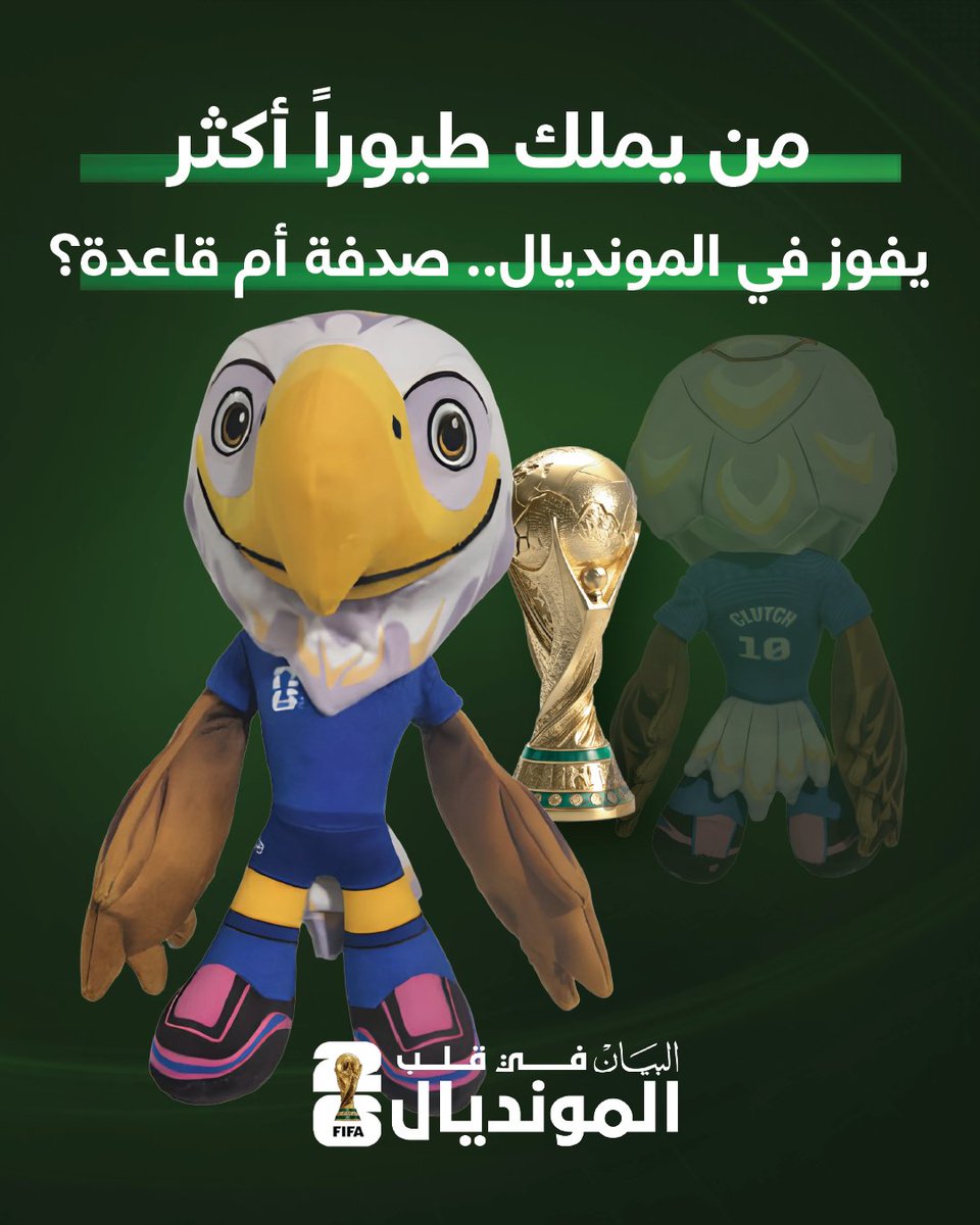 «النوارس المتوقعة»… دراسة طريفة تربط بين تنوع الطيور ونتائج كأس العالم 2026