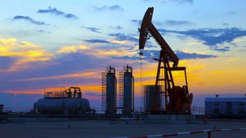 تونس توجه 73% من نفقات الدعم إلى قطاع المحروقات وتوسع مشروع التنقل الكهربائي لتخفيف العبء المالي