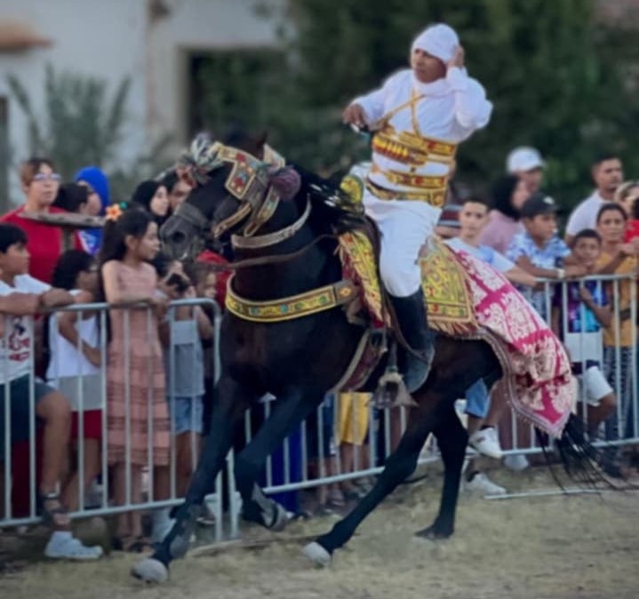 🎭 من رحم الماضي يولد المستقبل: القلعة الخصبة تحتفي بذاكرة الفرجة