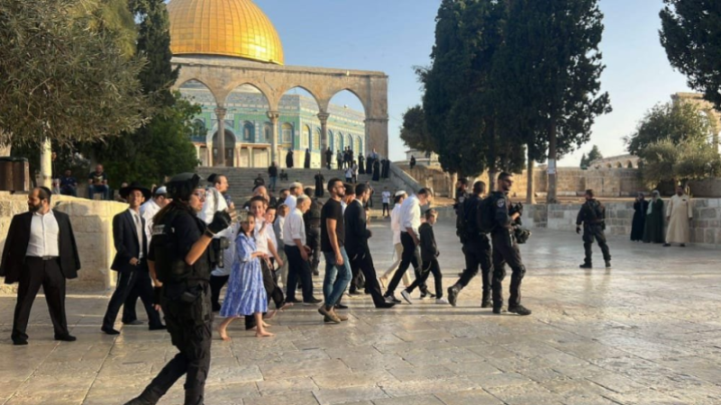 مستوطنون يقتحمون الأقصى تحت حماية الاحتلال ويؤدّون طقوسًا استفزازية