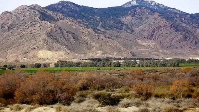 سمّامة تفتح أبوابها للعالم: “عيد الرعاة” في دورته 14 يتحوّل إلى موعد ثقافي دولي