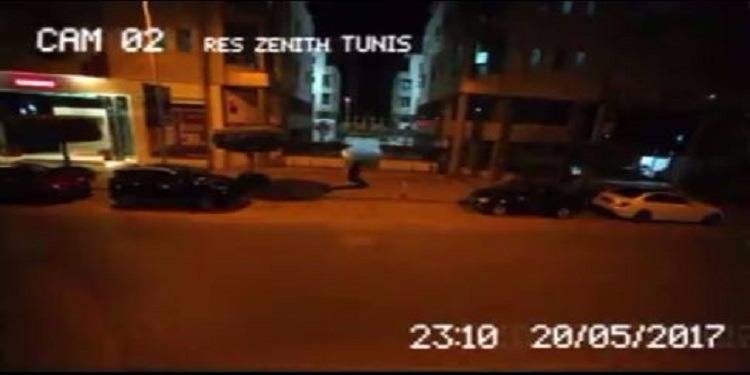 حقيقة الثعبان الذي خرج في ضفاف بحيرة تونس