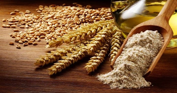 كلفة الحرب الأوكرانية على قطاع الحبوب في تونس 250 مليون دولار