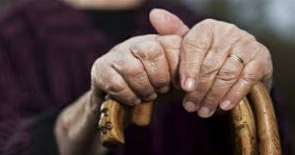 سقوط شجرة يكشف عن وفاة مسنة قبل عامين!