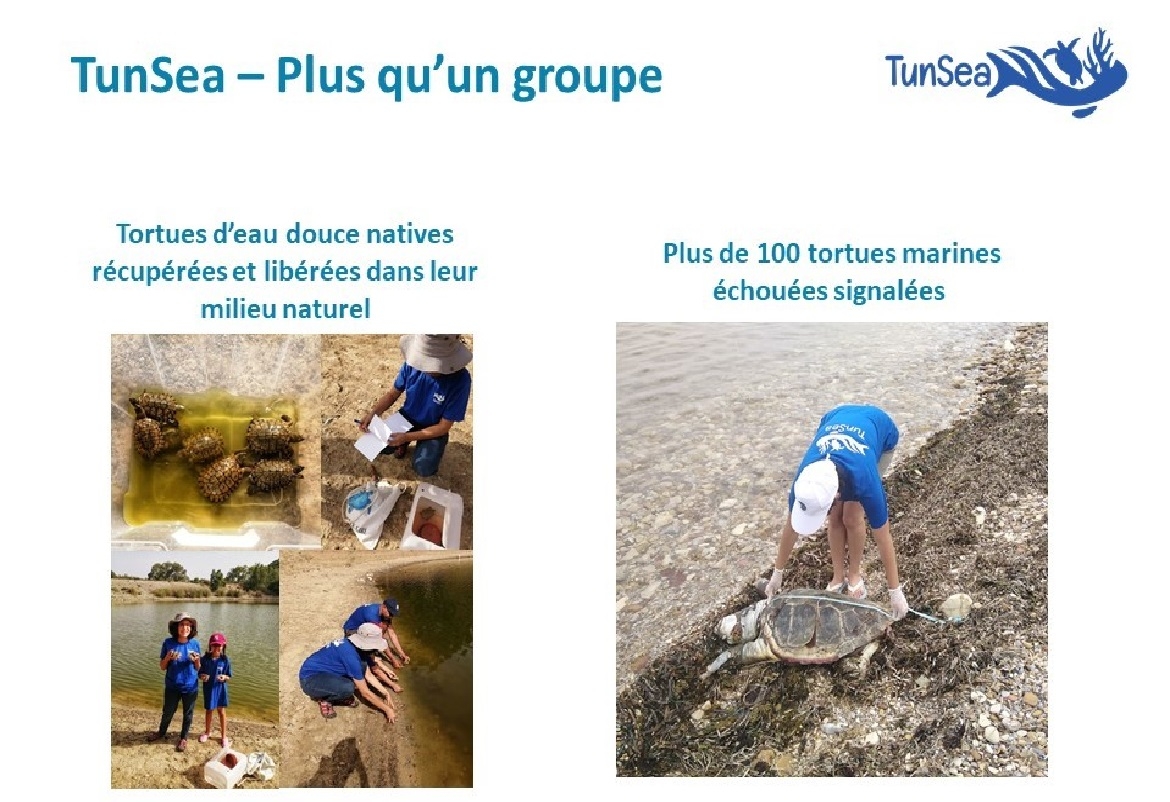 TunSea : Tun+Sea التونسي إلي مغروم و عندو علاقة بالبحر