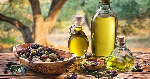 تونس تجني 1726 مليون دينار من تصدير زيت الزيتون هذا الموسم